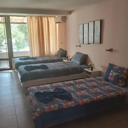 Apartment Sunny Centrar
